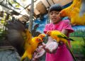 Belajar Tentang Burung Di Area World Of Parrot Eco Green Park, Siapa Mau? -